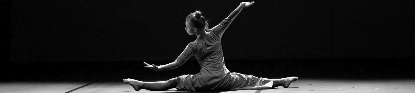 Dance school Tanzatelier Stuttgart from Stuttgart